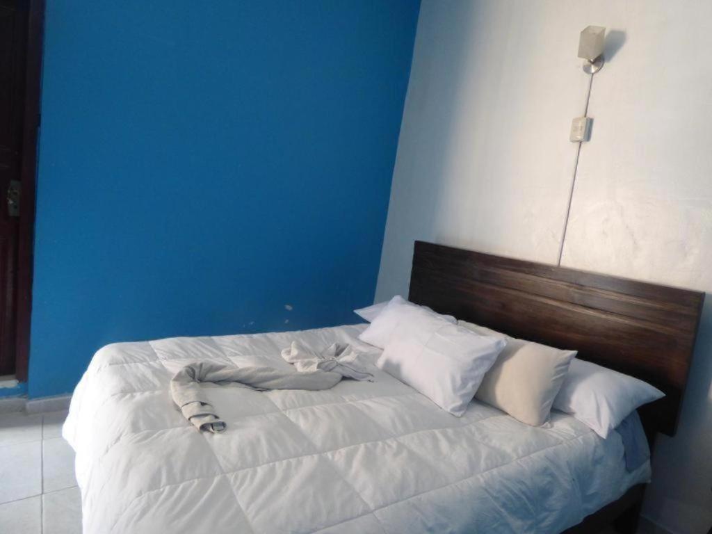 Qosqollay Plaza De Armas Bed & Breakfast Cuzco Eksteriør bilde